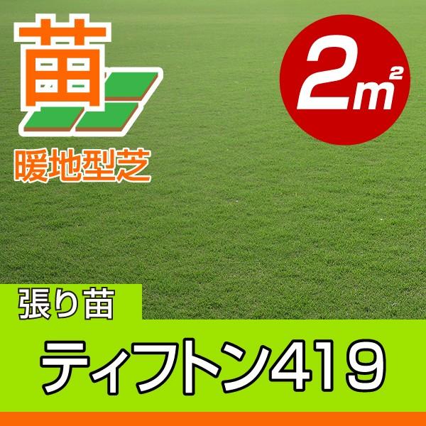 産地直送 宮崎産 ティフトン419 張り芝用 ２平米 0.6坪分 芝生 暖地型 天然芝 園芸｜baroness