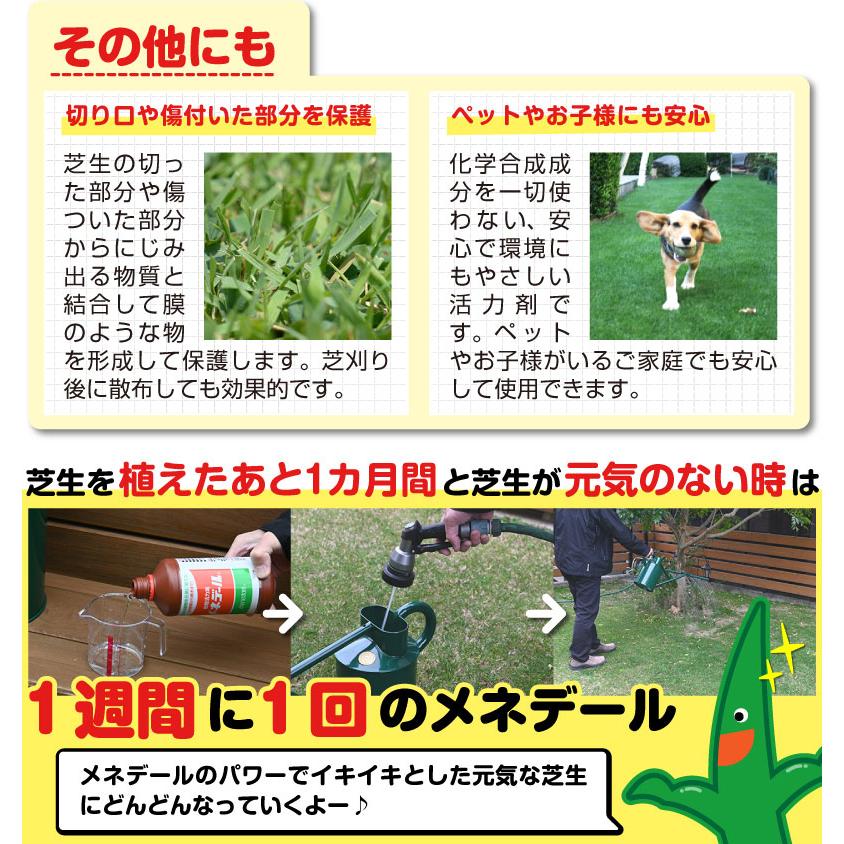 植物活力素 メネデール 2l : 芝生のことならバロネスダイレクト - 通販