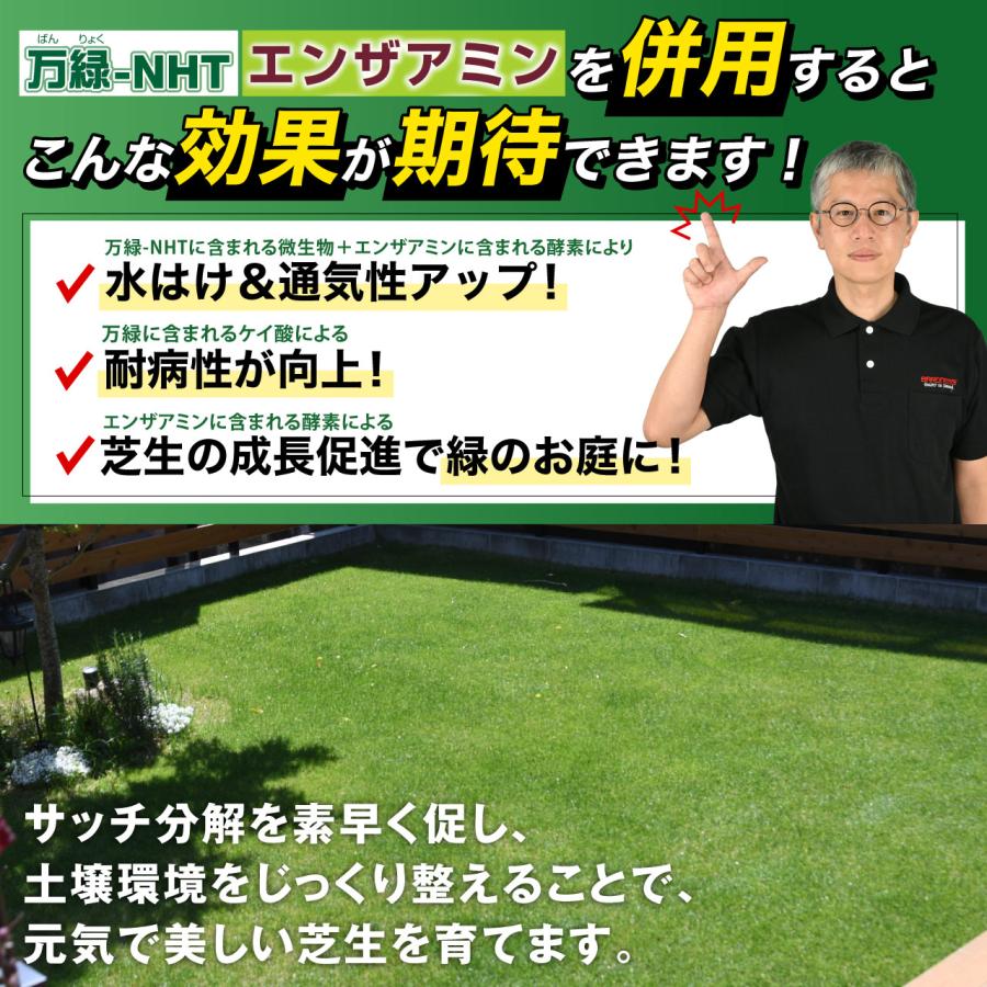 芝生用土壌改良剤 万緑-NHT 20kg 細粒タイプ＆芝生用バイオ有機質化成