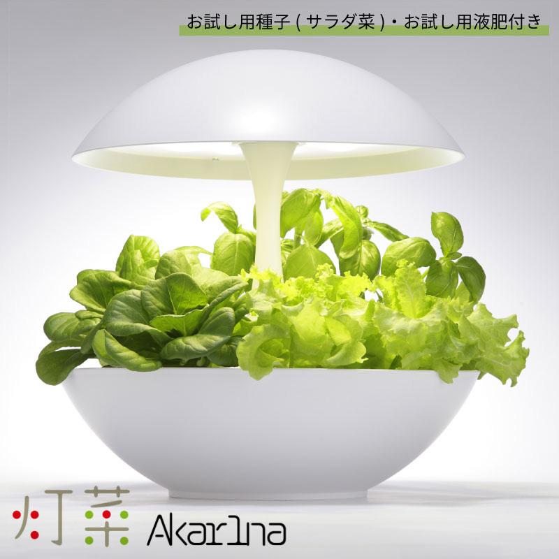 人気ブランド多数対象 灯菜 Led水耕栽培器 Akarina01 お試し用種 サラダ菜 付 お試し用液肥付
