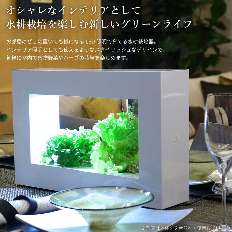 灯菜 LED水耕栽培器 AKARINA14 お試し用種(サラダ菜)付 お試し用液肥付
