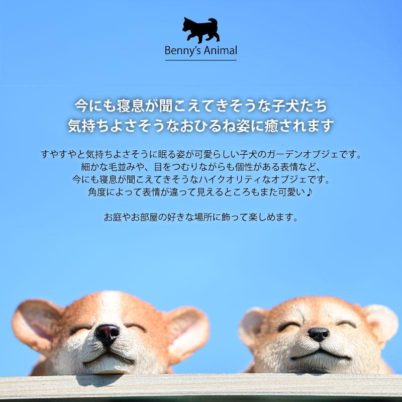 ガーデンオーナメント おひるねシリーズ 子犬 選べる5種類 シバ