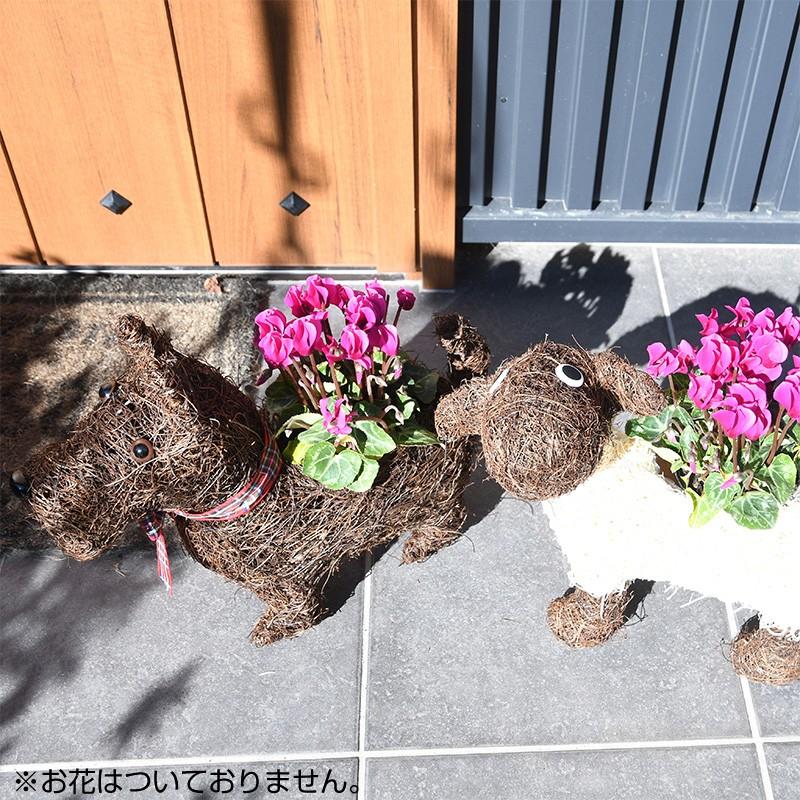 英国 Smart Garden ガーデンアニマルプランターセット(スコッティ