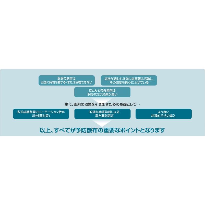 豪華 芝生用殺菌剤 病気 病害 シグネチャーwdg 1kg 赤焼病 ピシウム病 100 の保証 Www Technet 21 Org