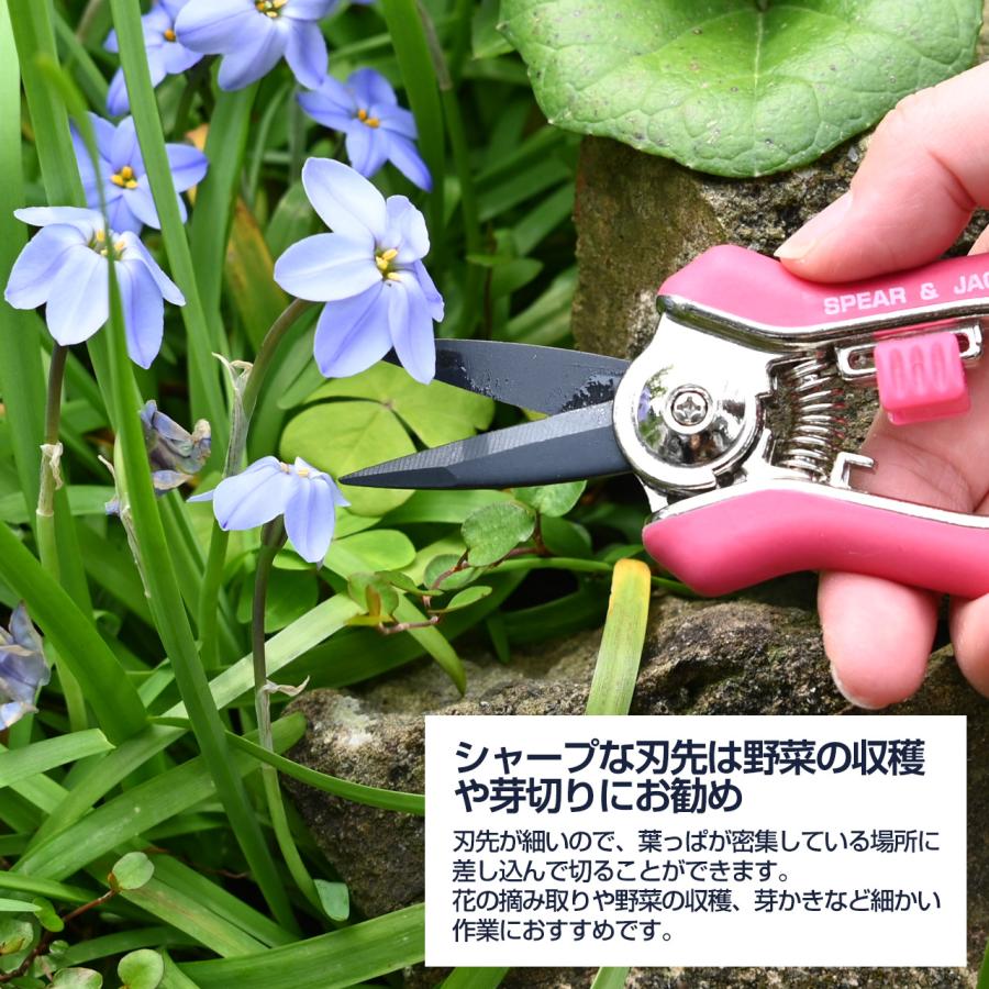 英国ブランド Spear＆Jackson ガーデンスニップ 芽切鋏(芽切ばさみ) 花