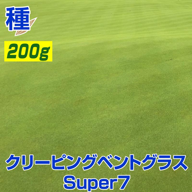 シバページ 芝 芝生 種 超高級 クリーピングベントグラス Super7 スーパーセブン