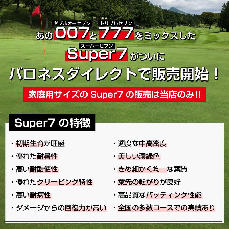 芝 芝生 種 超高級 クリーピングベントグラス Super7 スーパーセブン