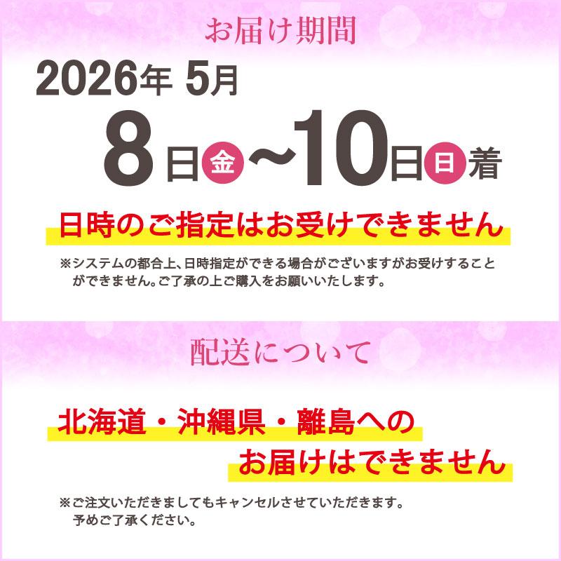 紫陽花 ギャラクシードレス ピンク 5号鉢 鉢植え ギフト 母の日