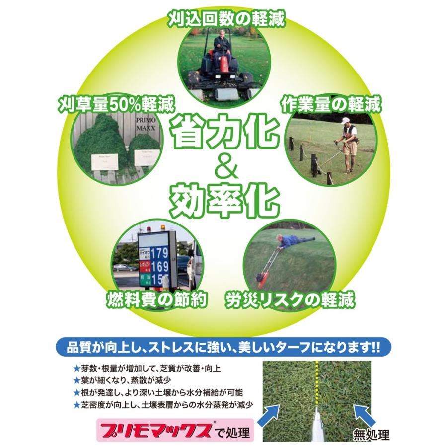 芝生用植物成長調整剤 プリモマックス液剤 250ml 芽数増加 根量 芝生用植物成長調整剤 プリモマックス液剤 250ml 芽数増加 根量