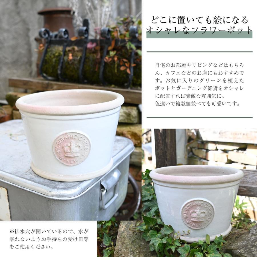 排水穴あり】Terrace&Garden キューガーデン キューポット ロー