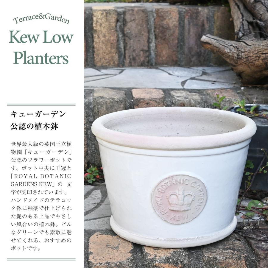 英国 Terrace&Garden キューガーデン ロープランター ボーンホワイト M