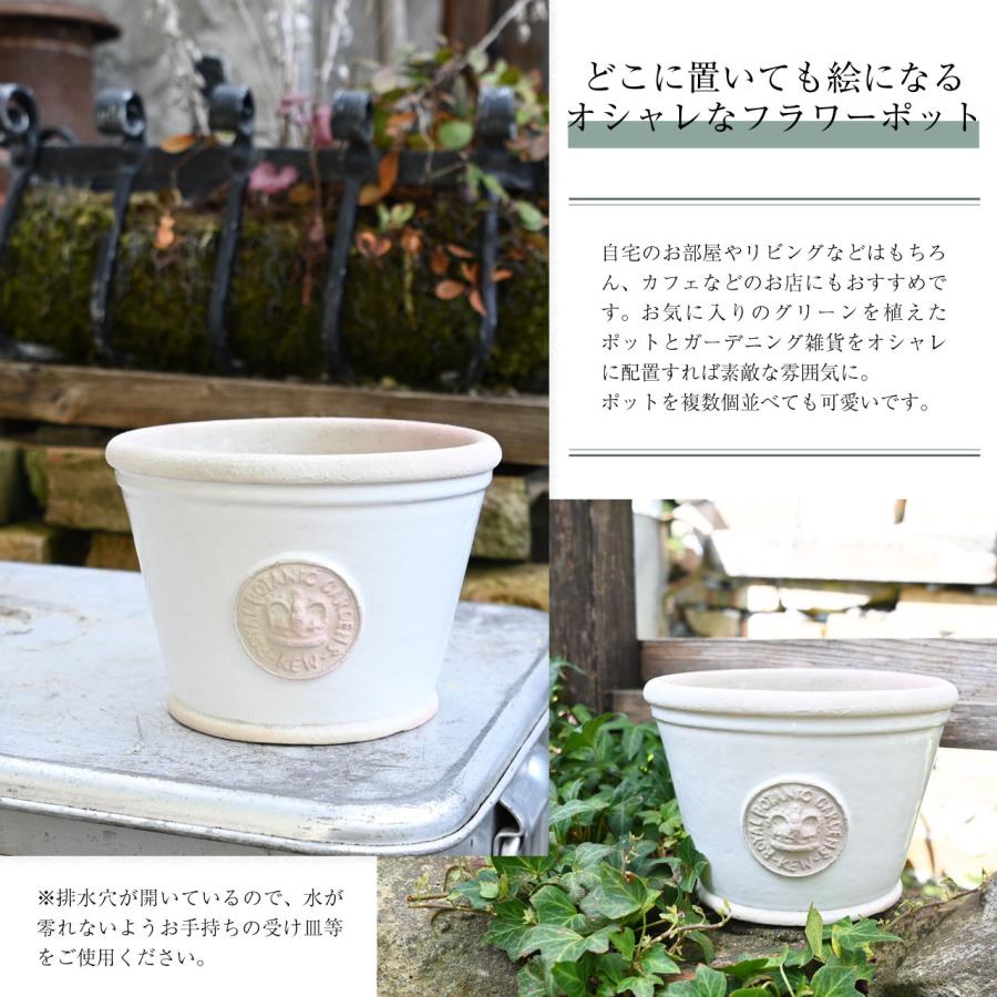 排水穴あり】Terrace&Garden キューガーデン キューポット ロー