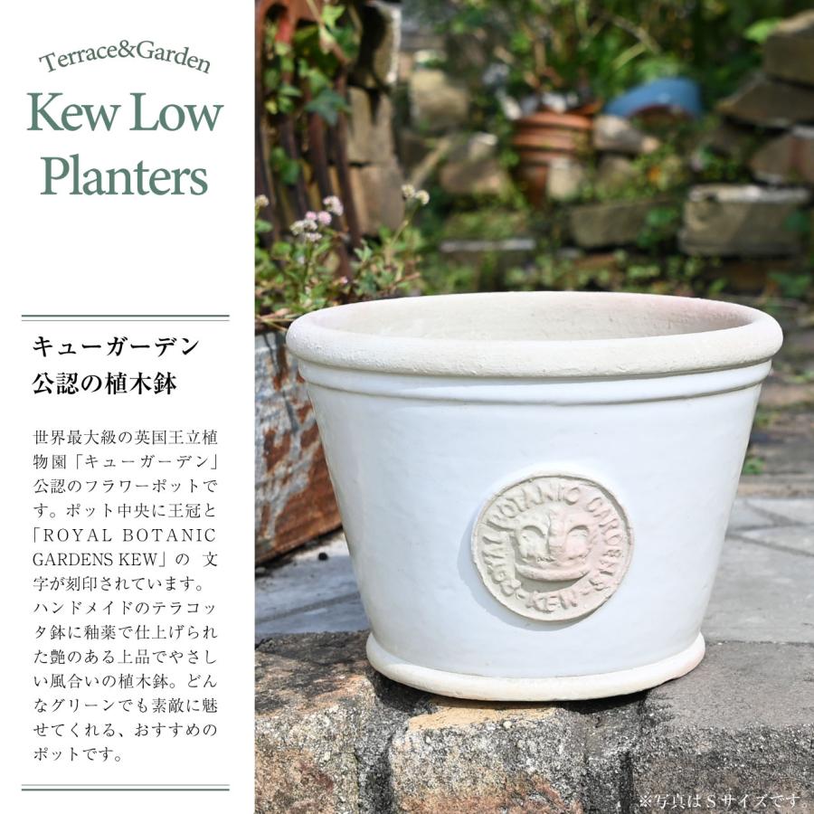 英国 Terrace&Garden キューガーデン ロープランター ボーンホワイト S