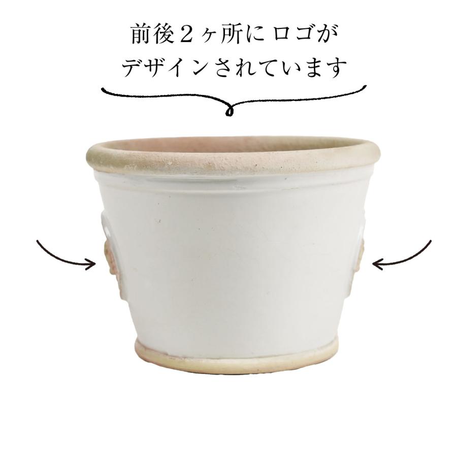 英国 Terrace&Garden キューガーデン ロープランター ボーンホワイト S