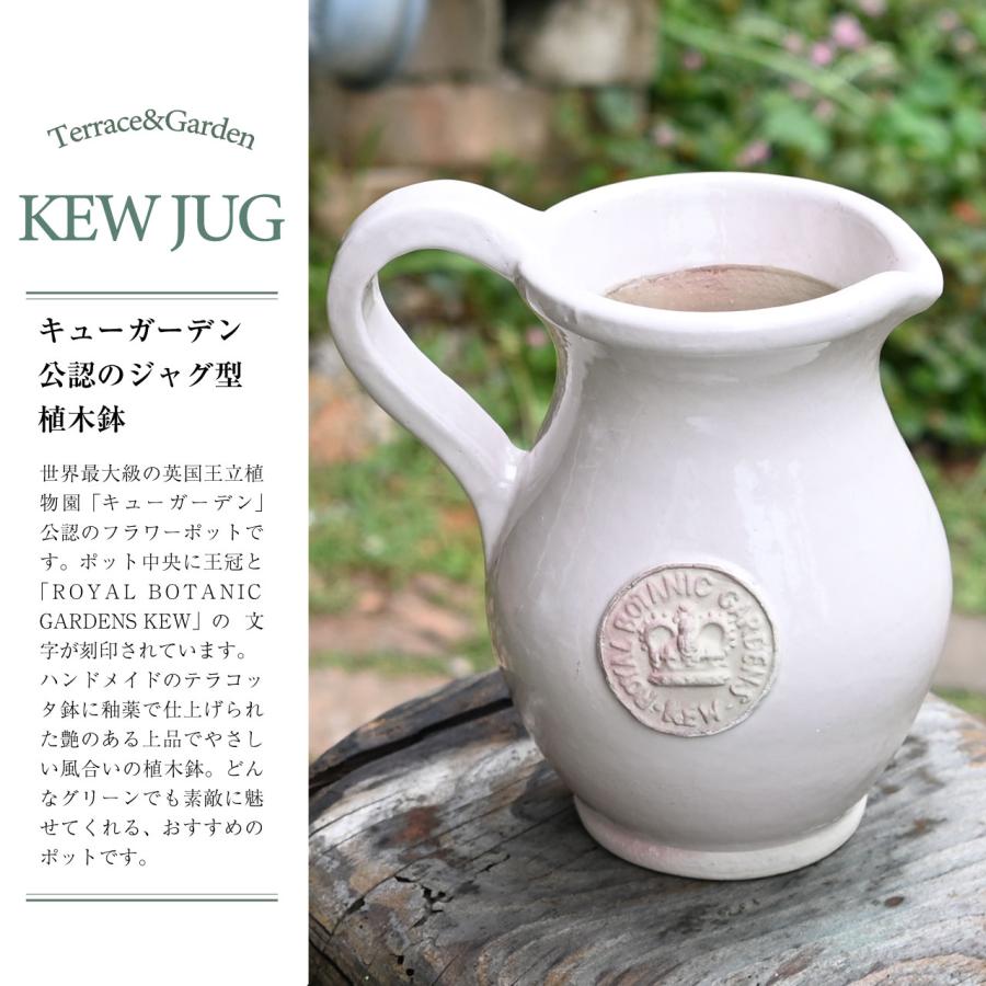 英国 Terrace&Garden キューガーデン キュージャグ 選べる3色 植木鉢