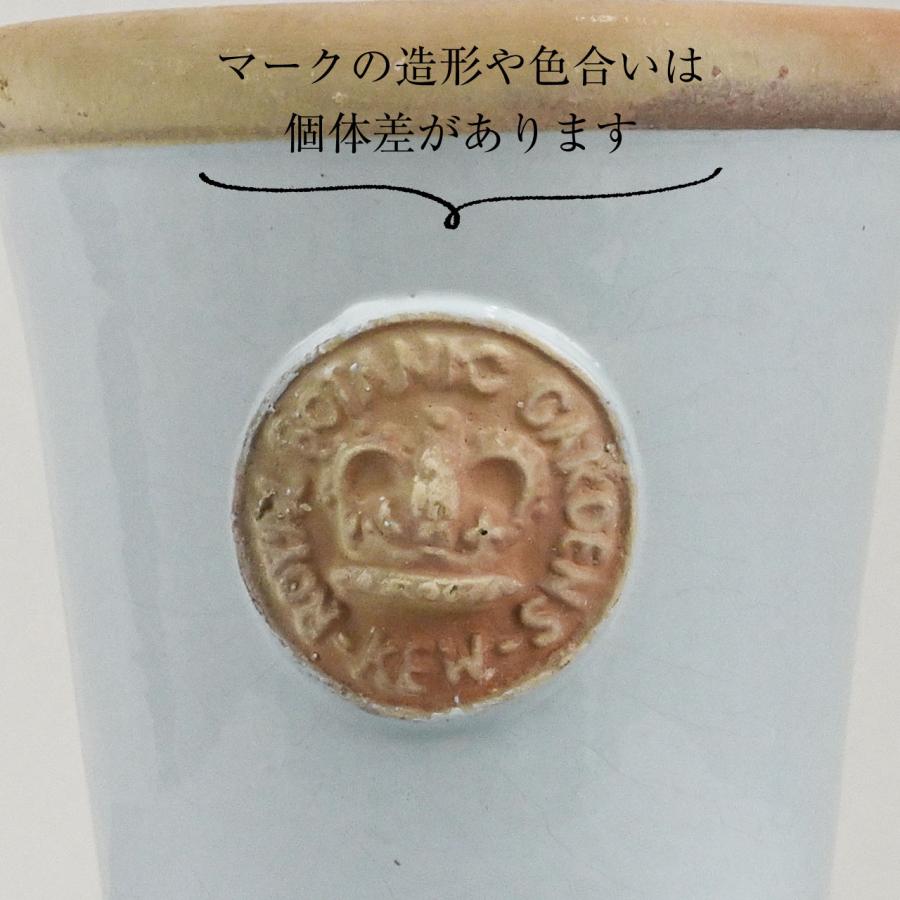 英国 Terrace&Garden キューガーデン キューポット ロングトム Mサイズ