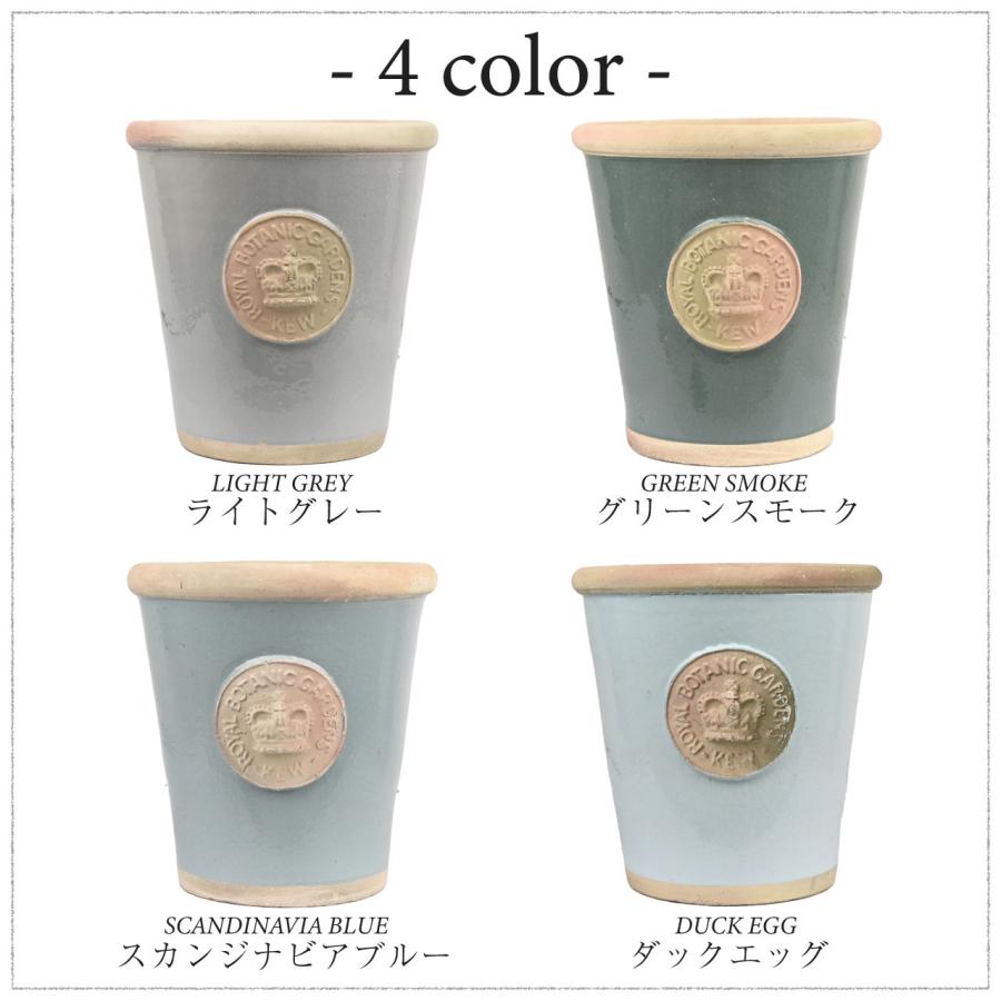 グリーンポット　モードライトバレル キューガーデン　チェスターキューポット　2点 Kew Garden チェスターキューポット | 橋本種苗園