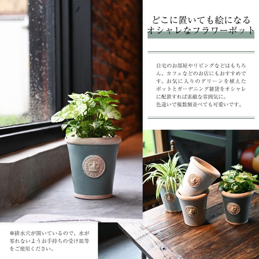 排水穴あり 英国 Terrace&Garden キューガーデン キューポット