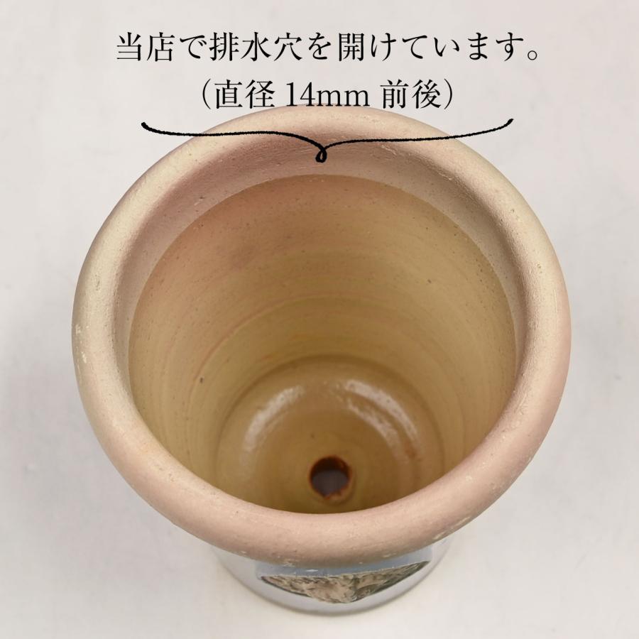 木製の花器(底に穴あり) 園芸鉢 サナなし ブラック 金彩高脚 底穴あり 6.5号 植木鉢 陶器鉢 花瓶・フラワースタンド