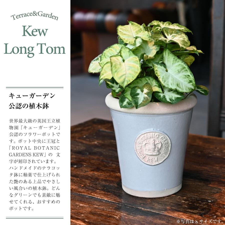 排水穴あり 英国 Terrace&Garden キューガーデン キューポット