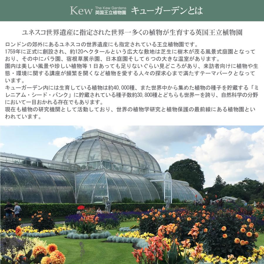 排水穴あり 英国 Terrace&Garden キューガーデン キューポット