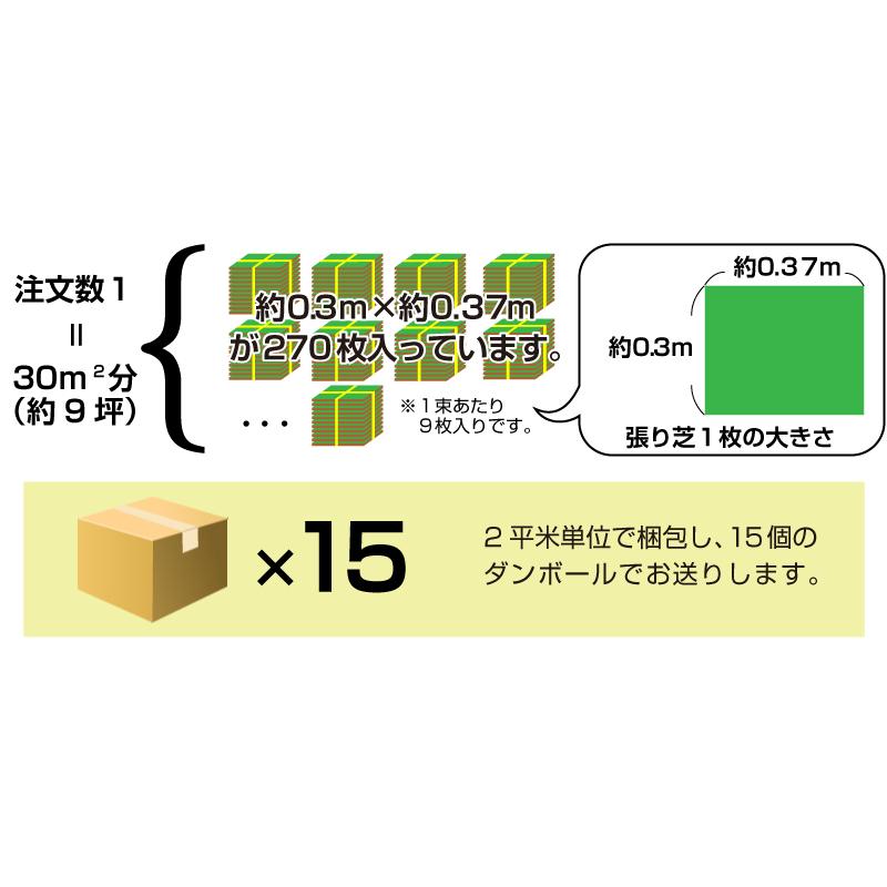 TM9 芝生　30枚　約3平方メートル分 30平米 TM9 鳥取産 ティーエムナイン 登録品種 30平米 9坪分 張り