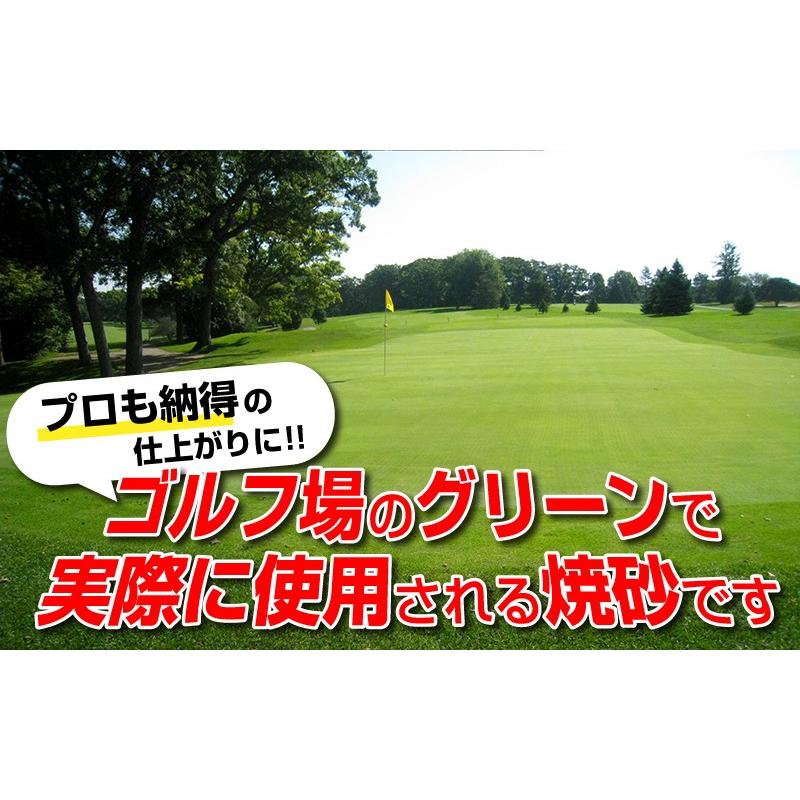 芝生 目砂 乾燥 焼砂 バロネス 芝生の目砂・床砂 10kg入り×45袋セット_4