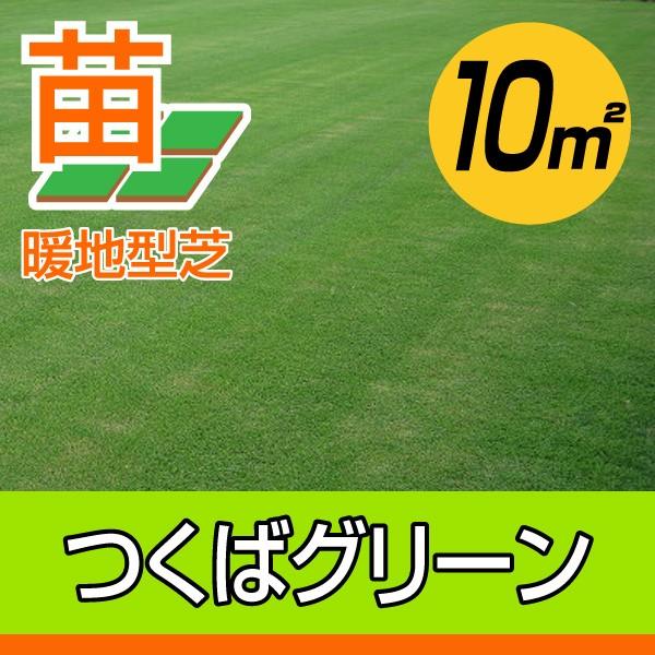 １０平米 つくばグリーン つくば産 張り芝用 １０平米 3坪分 芝生 暖地型 天然芝 園芸 産地直送