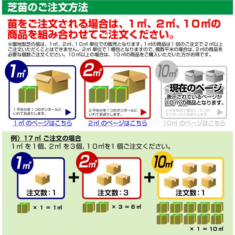 １０平米 つくばグリーン つくば産 張り芝用 １０平米 3坪分 芝生 暖地型 天然芝 園芸 産地直送_7