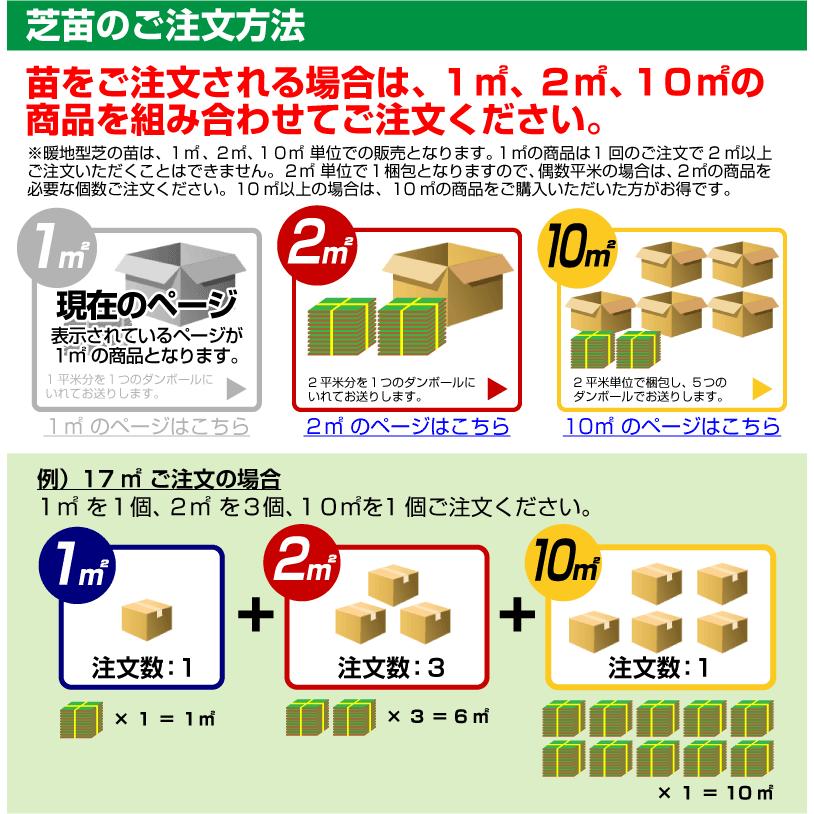 1平米 つくば太郎 つくば産 登録品種 張り芝用 0.3坪分 芝生 暖地型 