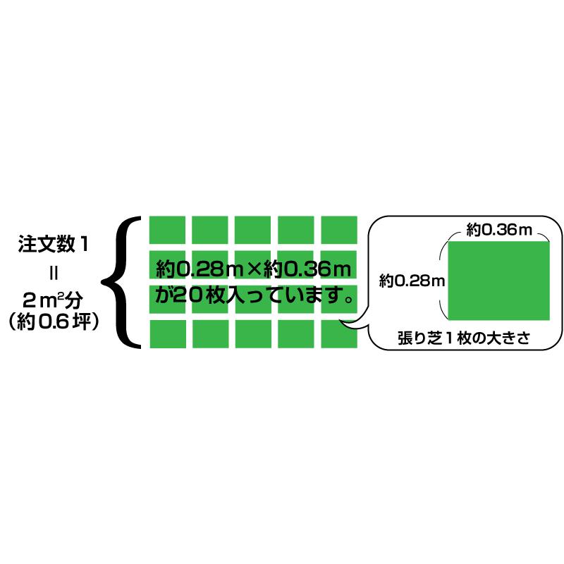 2平米 つくば太郎 つくば産 登録品種 張り芝用 0.6坪分 芝生 暖地型 