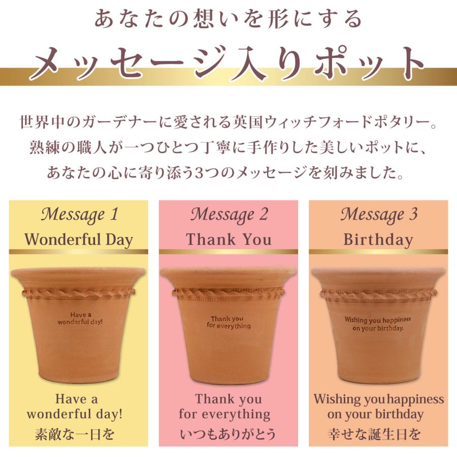 ウィッチフォード メッセージポット ペイストリー ポット 直径29cm 約