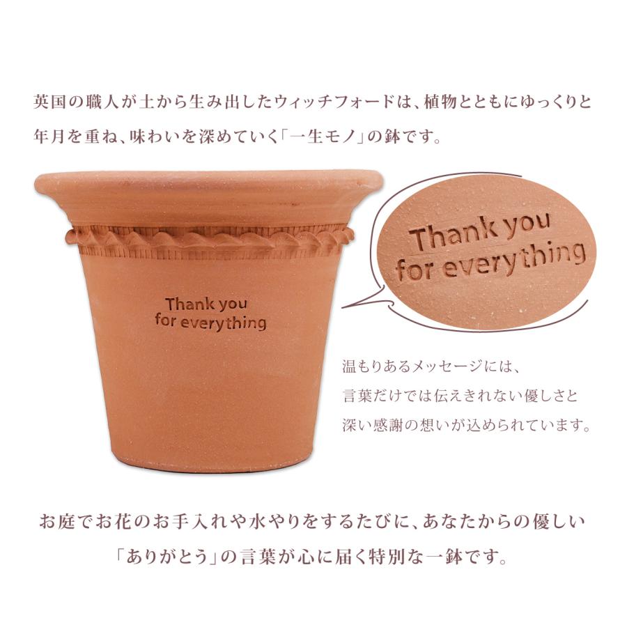 ウィッチフォード メッセージポット ペイストリー ポット 直径29cm 約