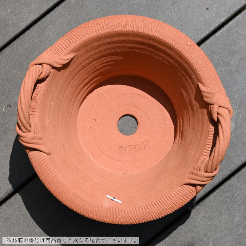 ウィッチフォード 植木鉢 シャローバスケット ハンドル付 直径26cm