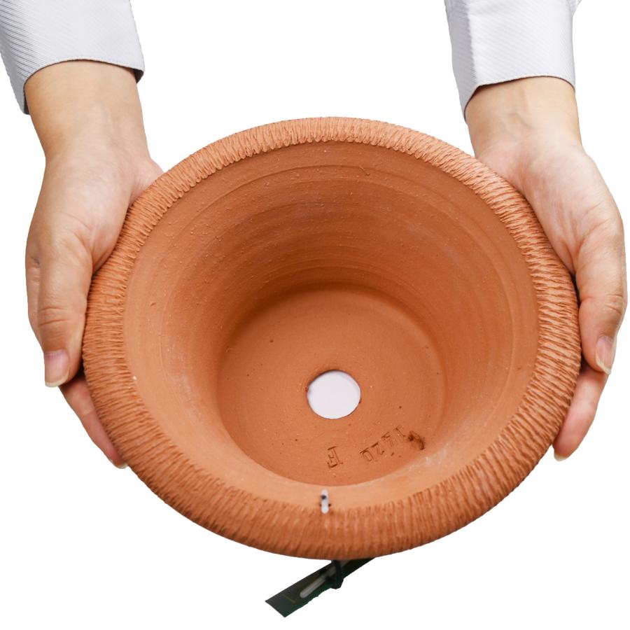 英国 ウィッチフォード シャロー バスケットポット 直径20cm 植木鉢