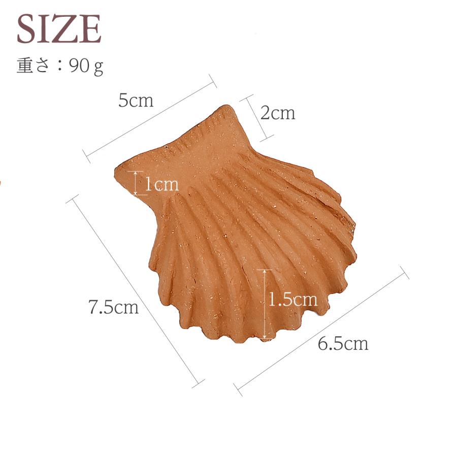 英国 ウィッチフォード ポットフィートシェル 貝殻 Sサイズ 3個