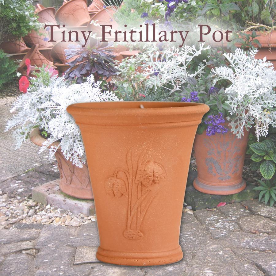 英国 ウィッチフォード フリチラリアポット 直径17cm 植木鉢 Whichford