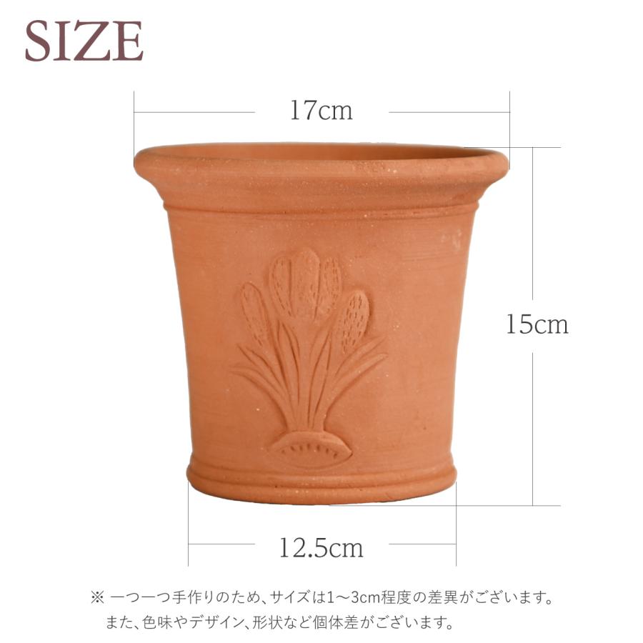 英国 ウィッチフォード クロッカスポット 直径17cm 植木鉢 Whichford