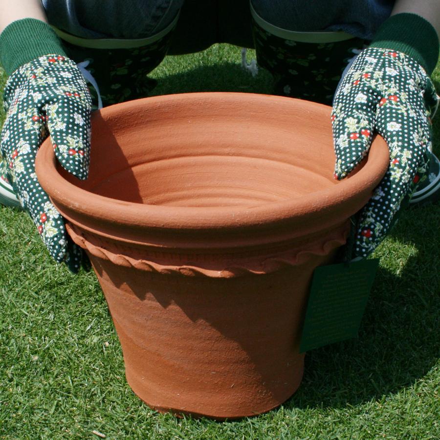 ウィッチフォード 植木鉢 ペイストリー ポット 直径23cm 約7.5号鉢