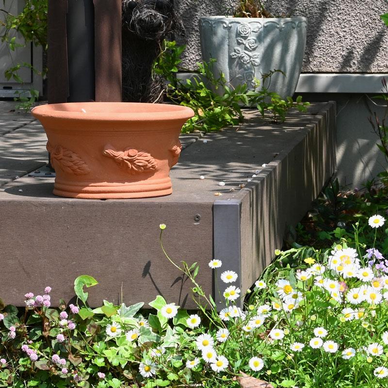 ウィッチフォード 植木鉢 ハーブ パン 直径22cm 約7号鉢