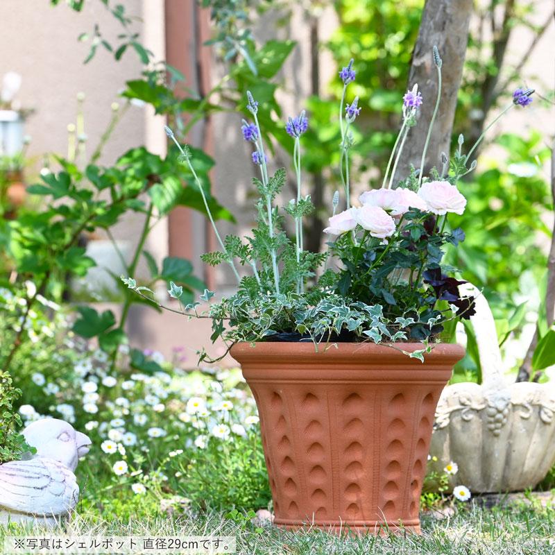 ウィッチフォード 植木鉢 シェル ポット 直径23cm 約7.5号鉢 Whichford