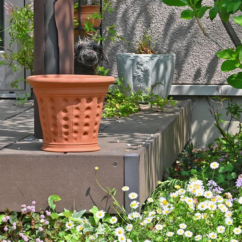 ウィッチフォード 植木鉢 シェル ポット 直径23cm 約7.5号鉢 Whichford 英国 テラコッタの画像