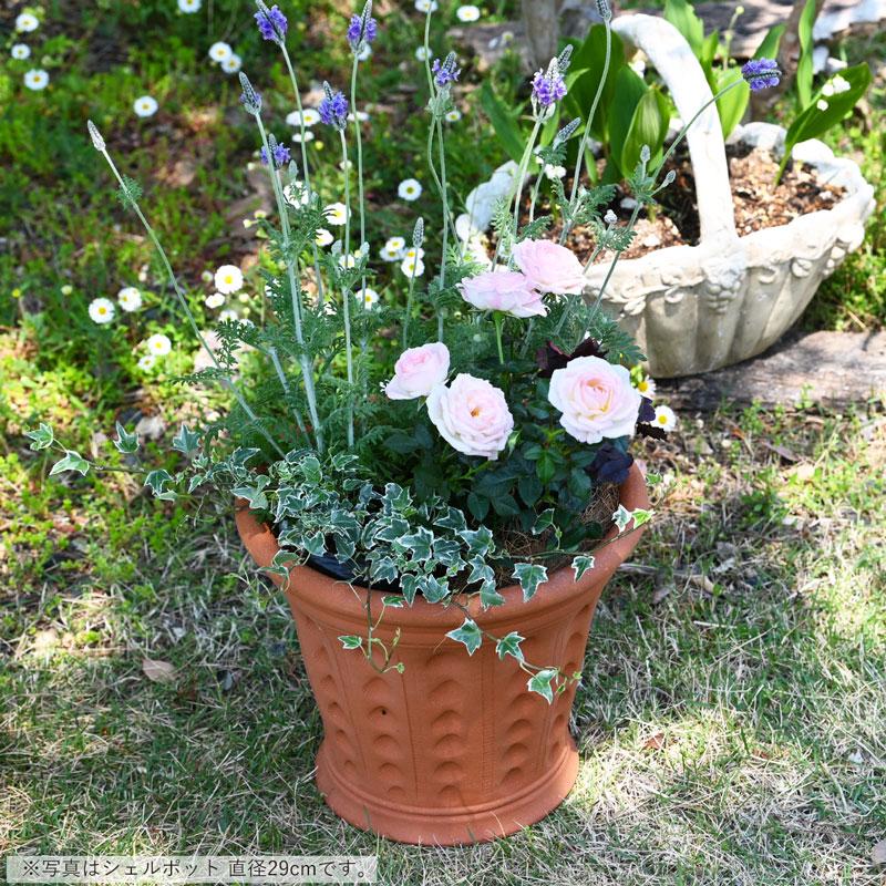 ウィッチフォード 植木鉢 シェル ポット 直径23cm 約7.5号鉢 Whichford 英国 テラコッタの画像
