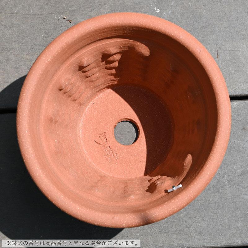 ウィッチフォード 植木鉢 シェル ポット 直径23cm 約7.5号鉢 Whichford 英国 テラコッタの画像