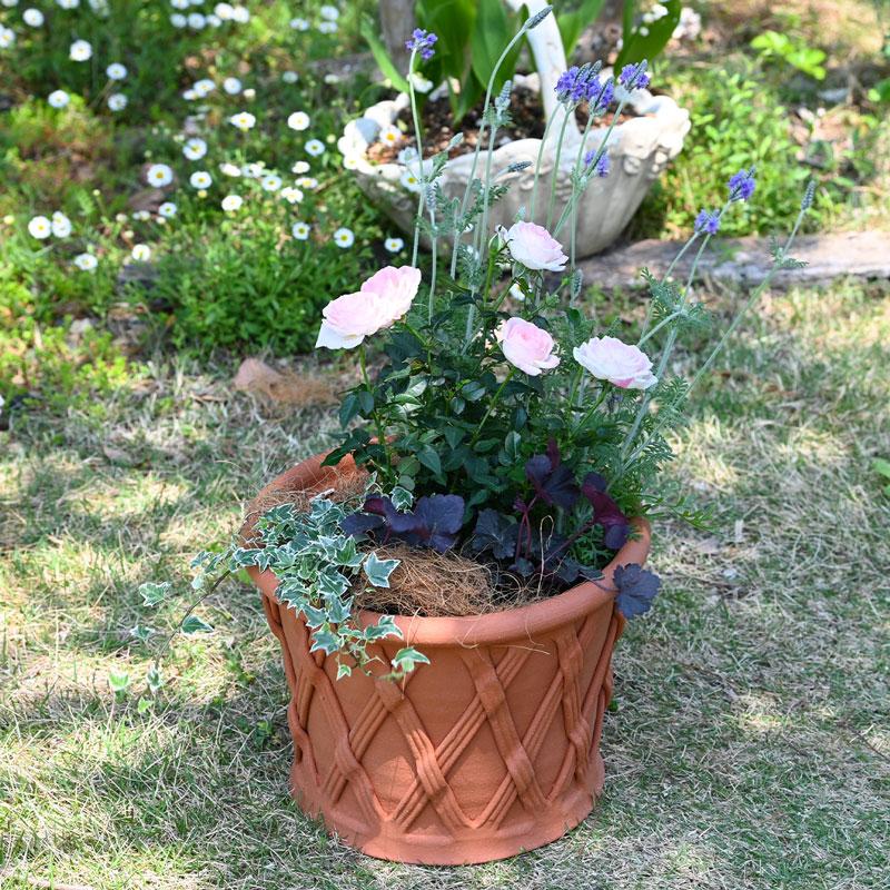 Whichford ウィッチフォード 植木鉢 大型バスケット 直径38cm 楽天市場】Whichford ウィッチフォード 植木鉢 バスケット