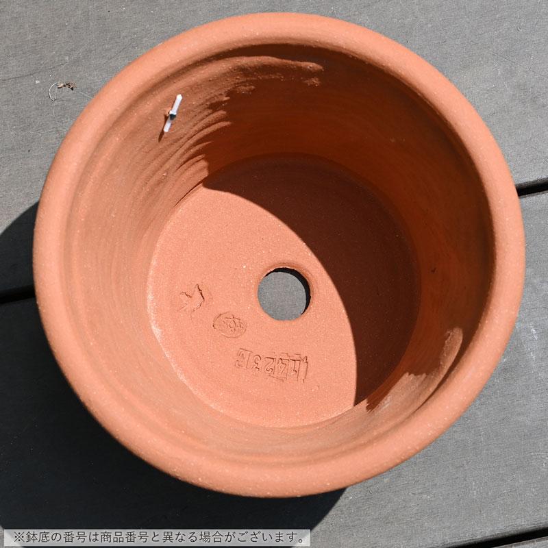 ウィッチフォード 植木鉢 ストレート バスケットポット 直径27cm 約9号