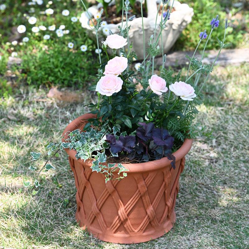 ウィッチフォード 植木鉢 ストレート バスケットポット 直径23cm 約7.5