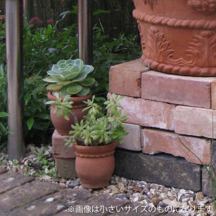 ウィッチフォード 植木鉢 ラウンド フラワーポット 直径20cm 約6.5号鉢