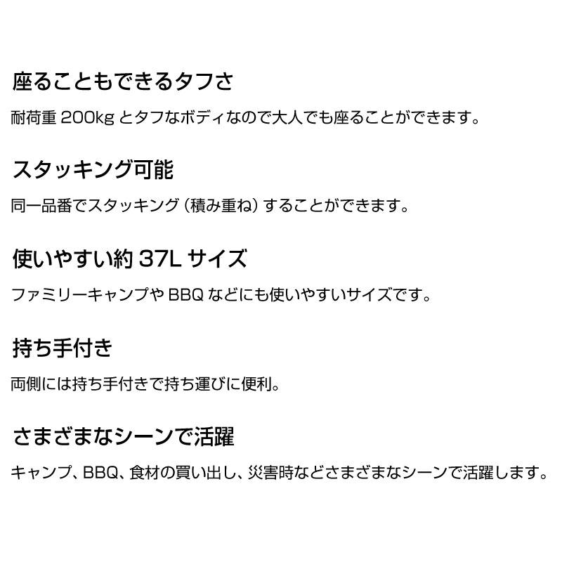 LOGOS ロゴス サーモテクト 氷点下フォールディングクーラー37 37L アウトドア 81670190の画像