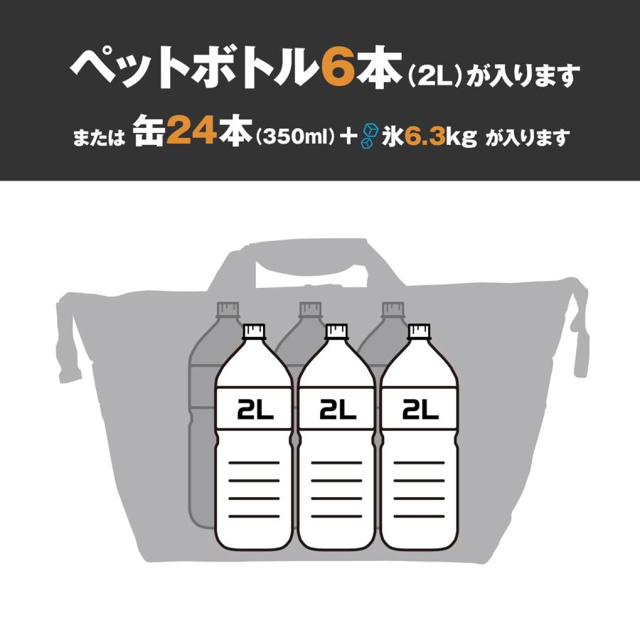 AO Coolers エーオークーラーズ 24パック カーボン ソフトクーラー 23L ブラック 保冷力の画像